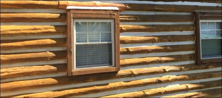 Log Home Whole Log Replacement  Monroe County, Georgia